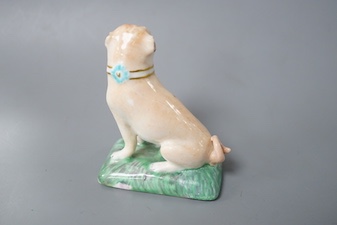 A Derby pug dog of large size, c.1810-30, naturalistically painted, sitting on his haunches incised mark for Isaac Farnsworth 8cm